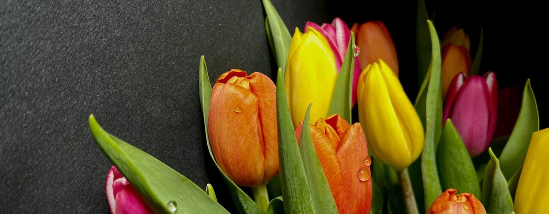 Geschenk zum Frauentag, das nie enttäuscht 🌷